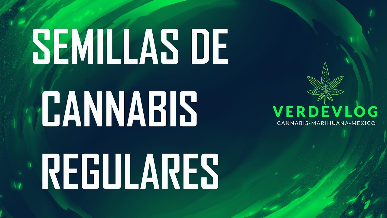 SEMILLAS REGULARES | VERDEVLOG
