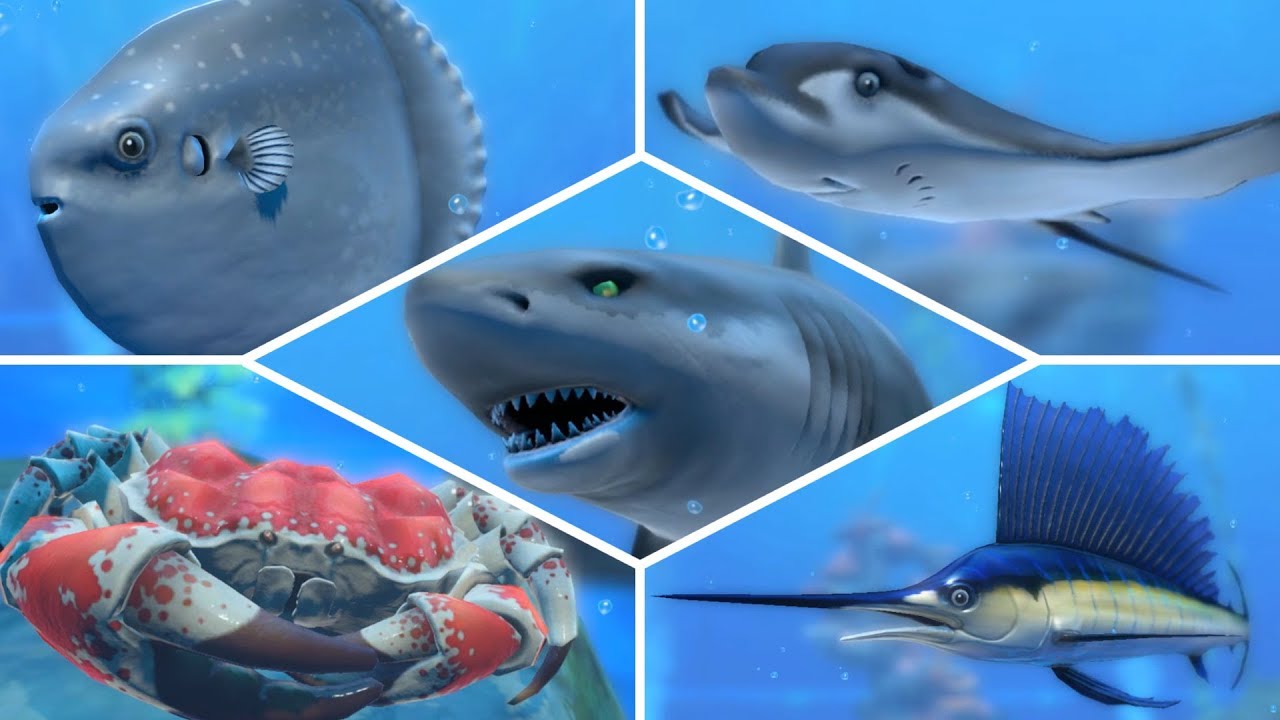 How To Catch ALL Fish & Shark In Nintendo Labo Fishing!