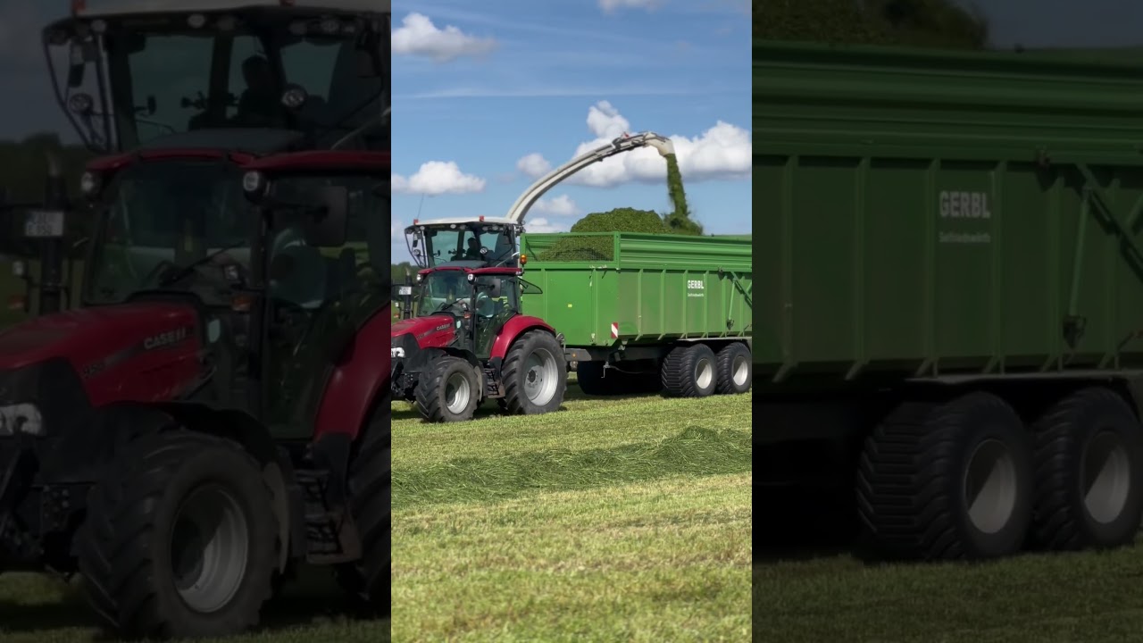 #2024 #agrarvideo #farming #landwirtschaft #fendt #farmlife #farm #claasjaguar