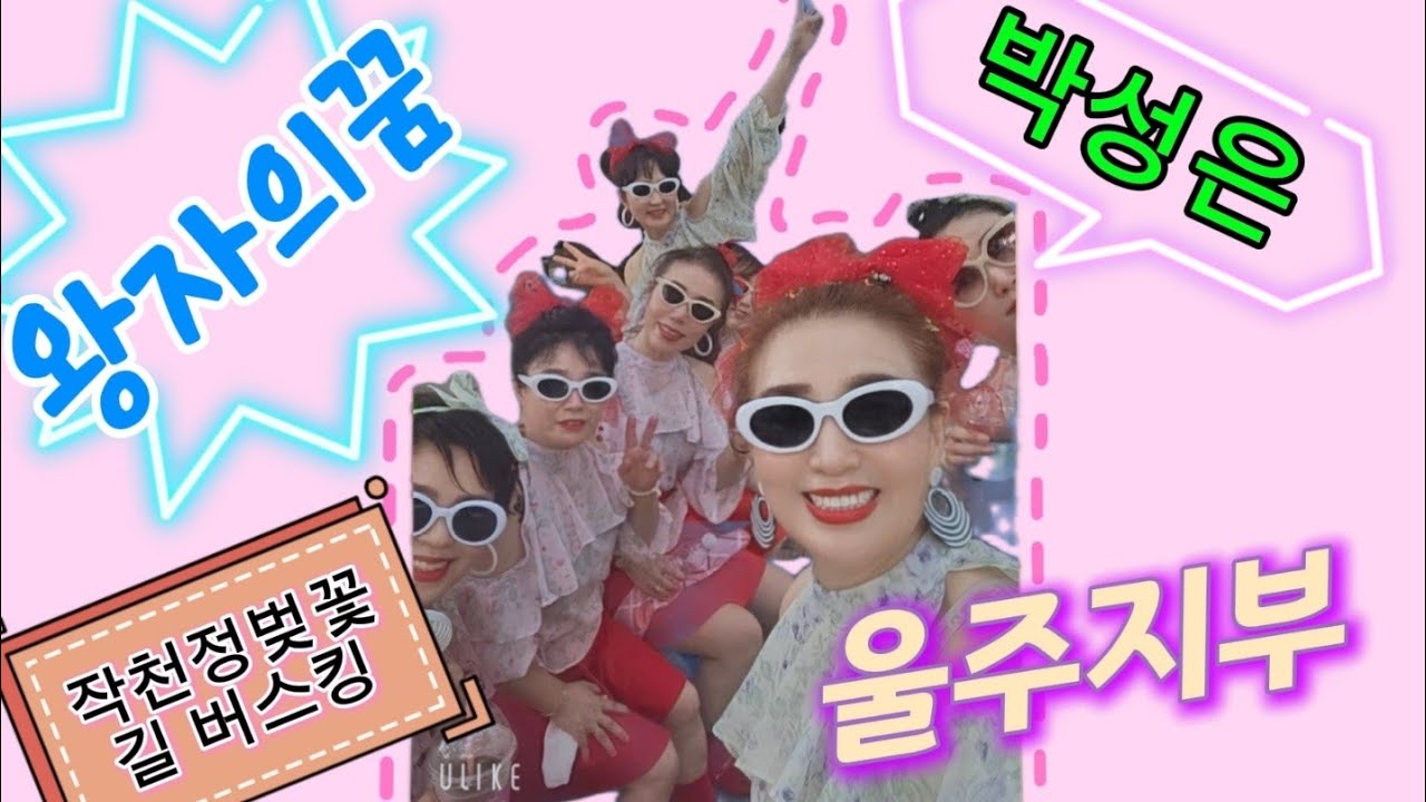아랑고고언양지부#왕자님의꿈#작천정행복페스티벌