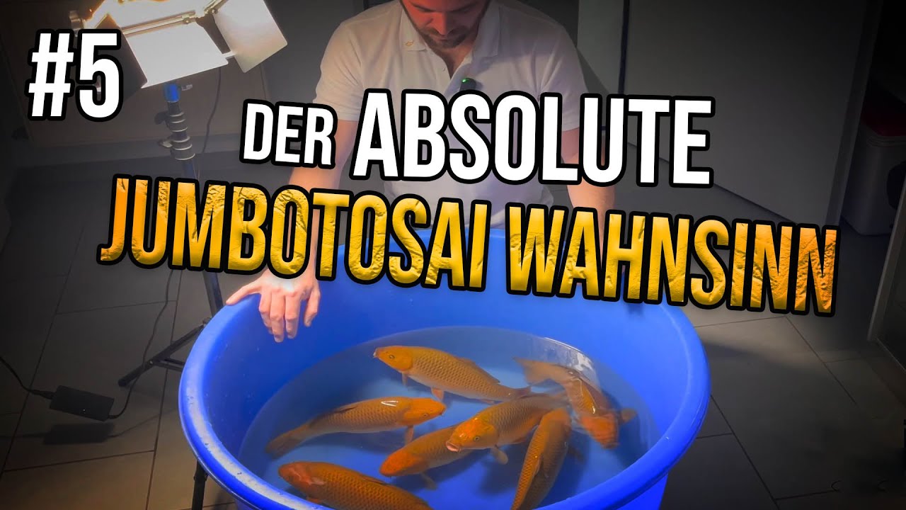 Inside teichjuwelen 5 - Update unserer genialen Jumbotosai
