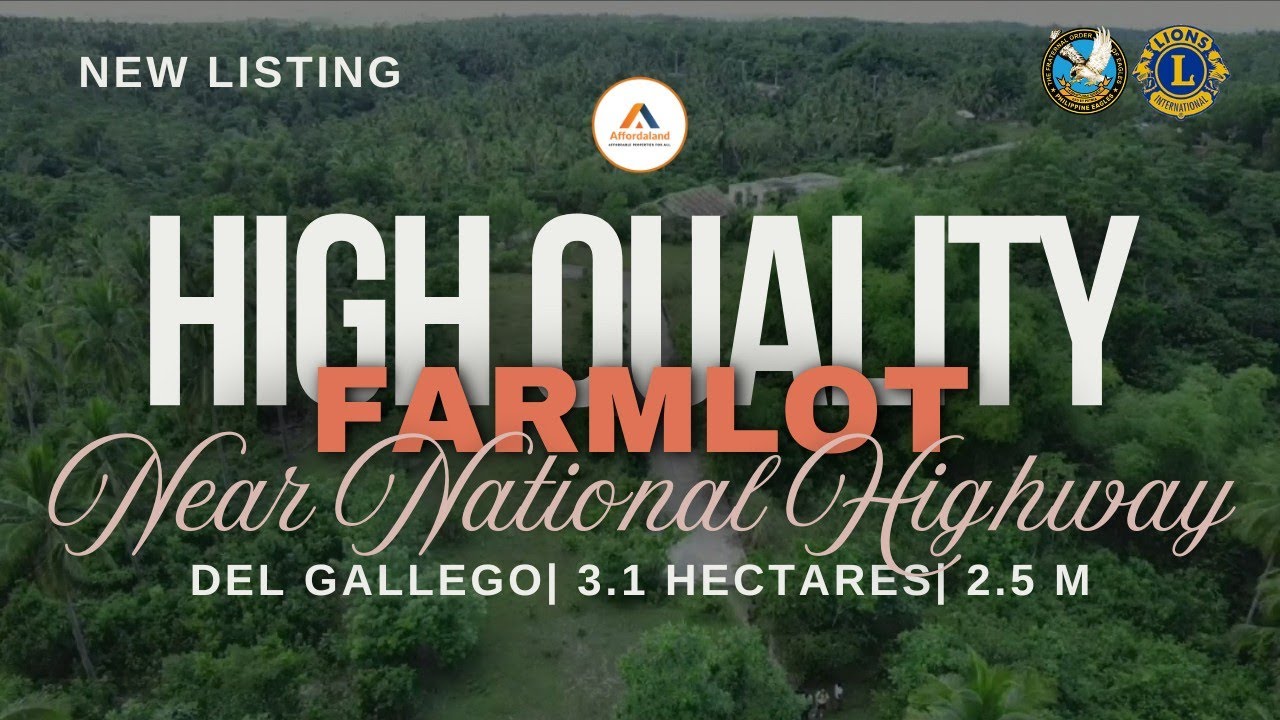 V129 High Quality Farm Near National Higway 3.1 has| 2.5M|Del Gallego#farmlot #propertyforsale #farm