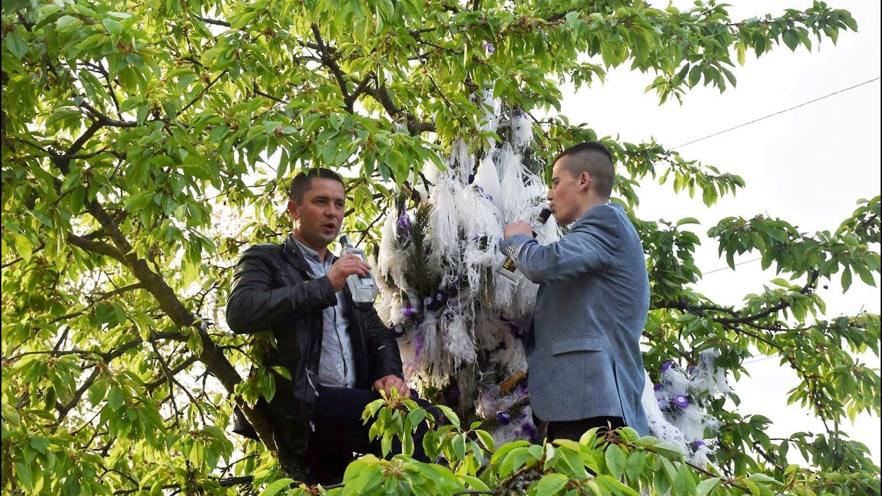14. Ось так завершується весілля в с. Розтоки... -  This is how the wedding in the village ends.