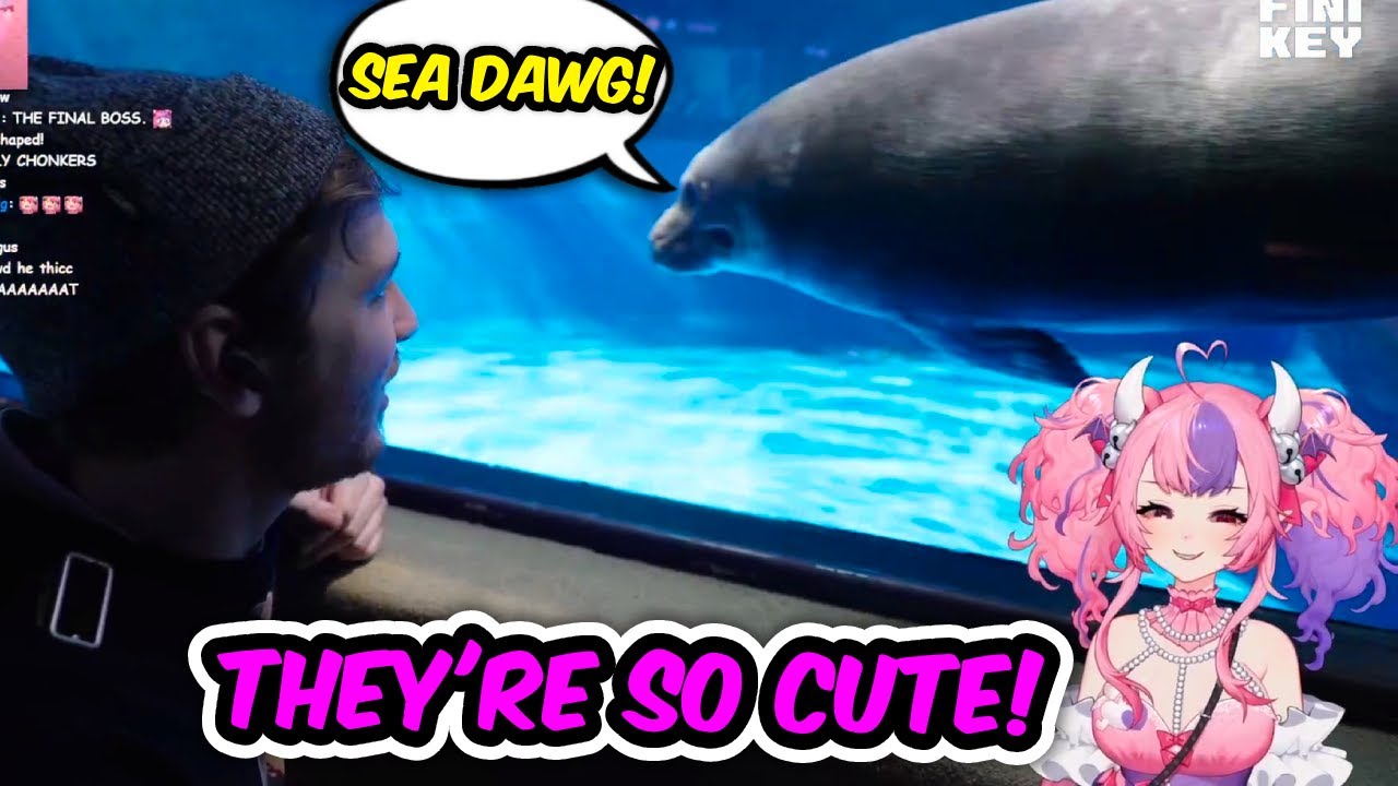 CDawgVA Shows Ironmouse the Cute Seals IRL