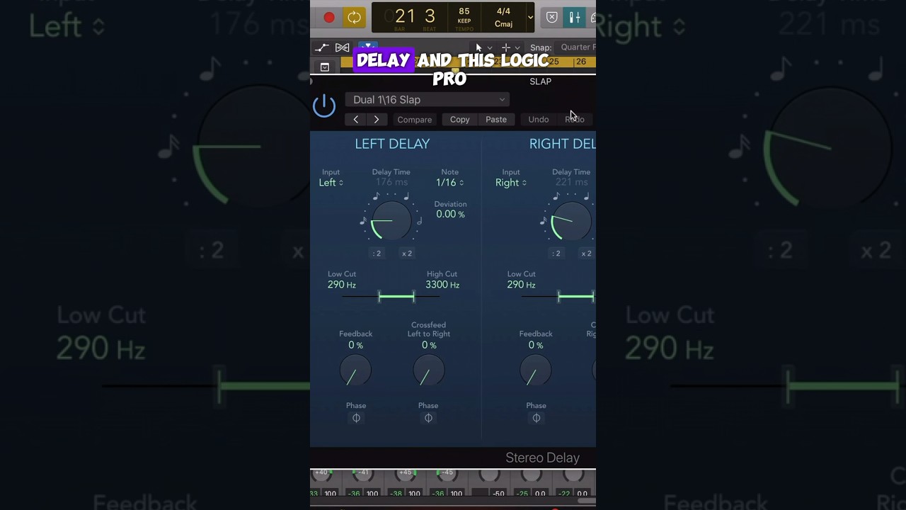 How To Use Slap Delay.