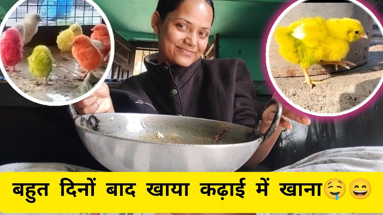 साथ ही की रंग बिरंगे चूजों के साथ मस्ती 😂🤩, ||New vlog 🌴||