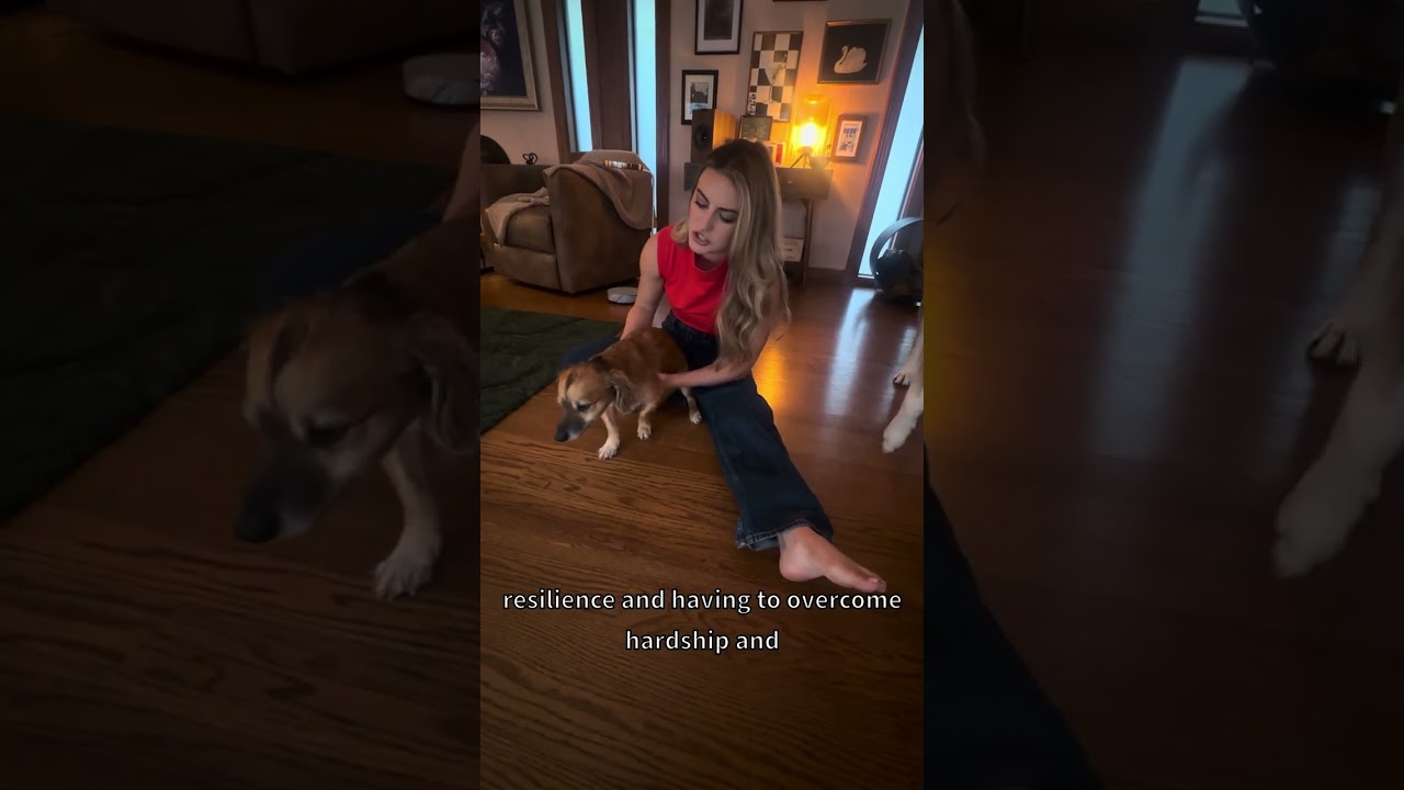 Tiki the rescue dog inspires support for other animals