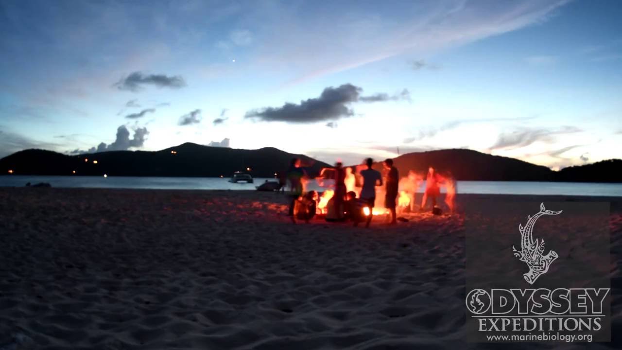 Odyssey Expeditions - an evening at the beach