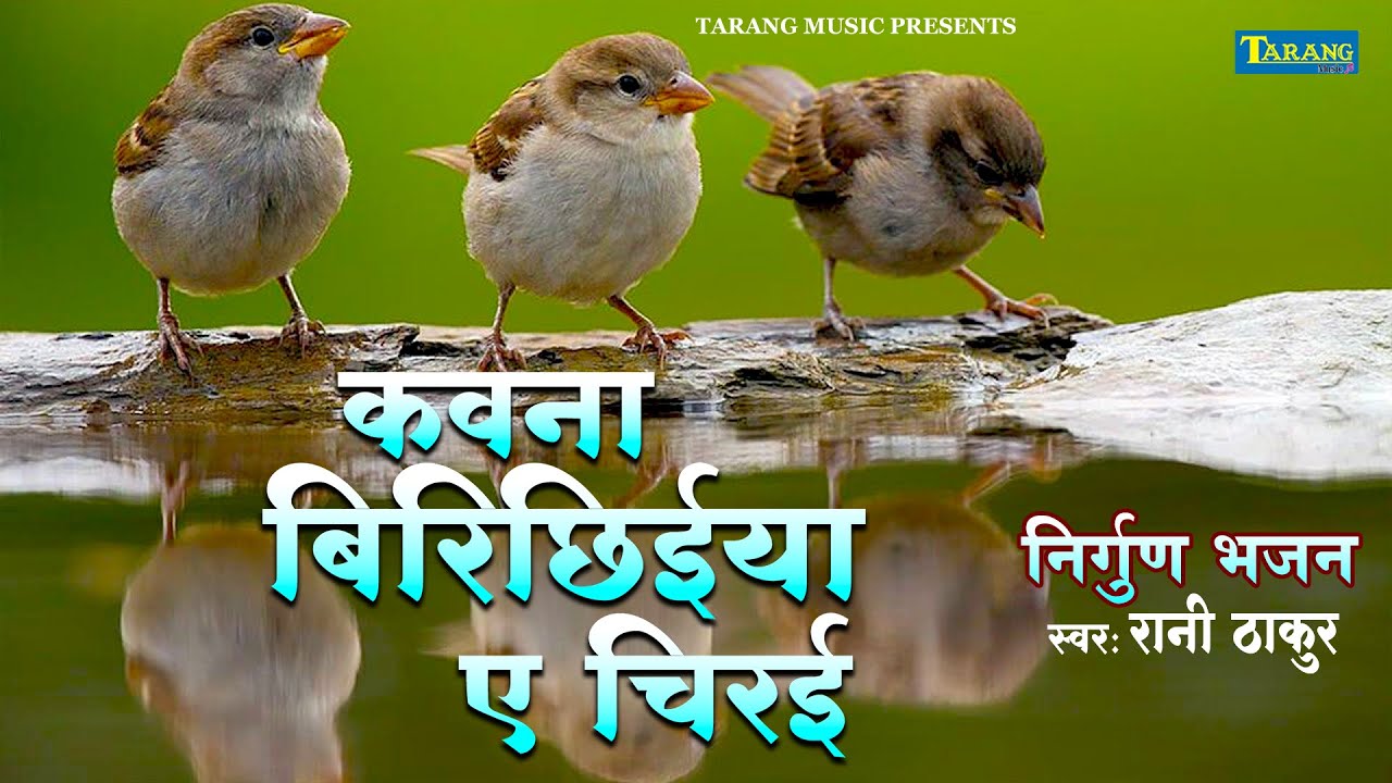 कवना बिरिछिया ए चिरई - निर्गुण भजन | #Rani Thakur Nirgun Geet | Bhojpuri Nirgun 2025