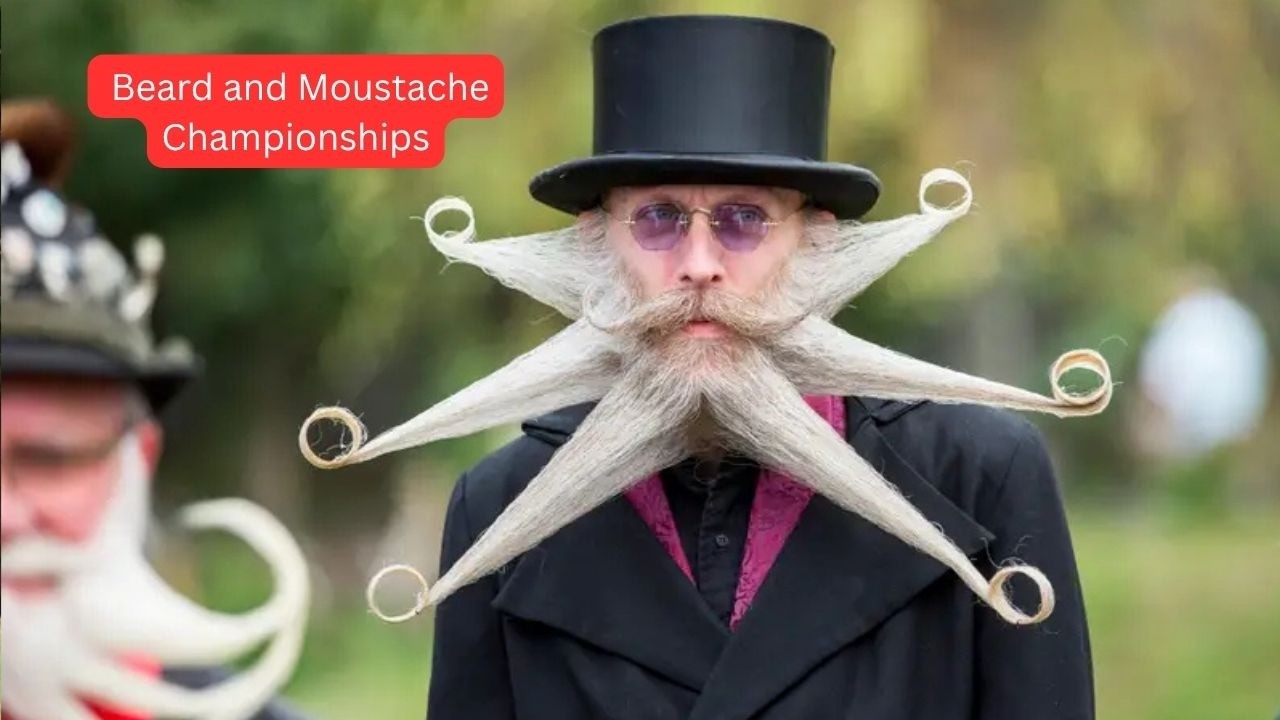 The British Beard and Moustache Championships -2012