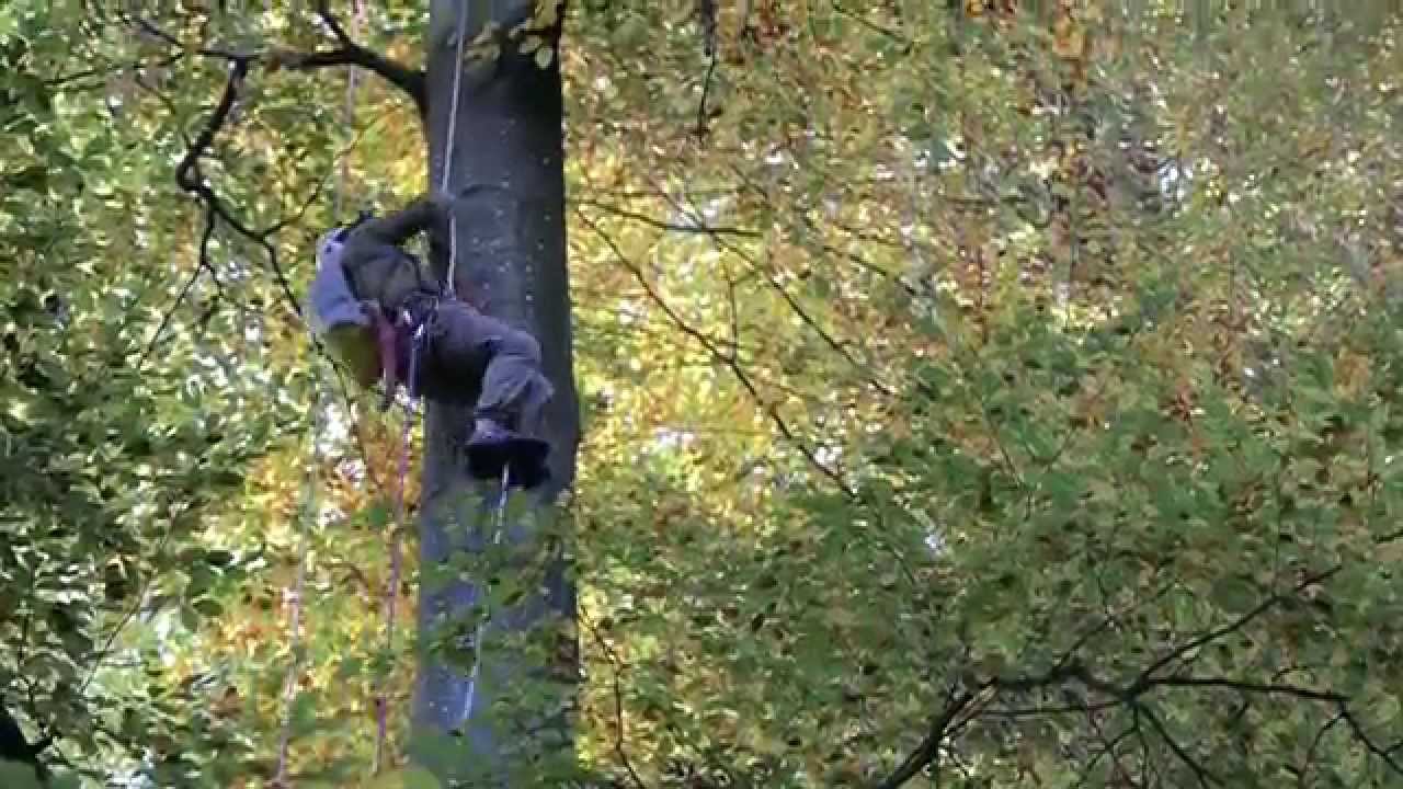 Am Puls des Waldes: Langfristige Wald&ouml;kosystem-Forschung LWF