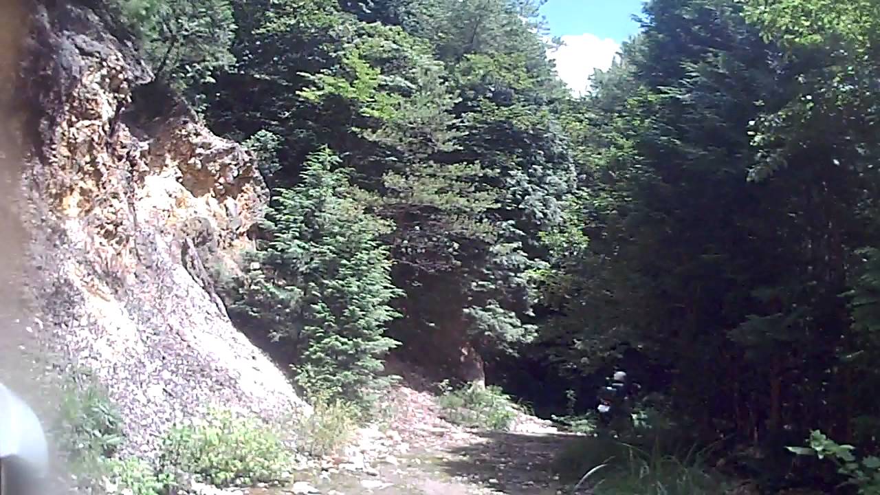 大分県道９号線