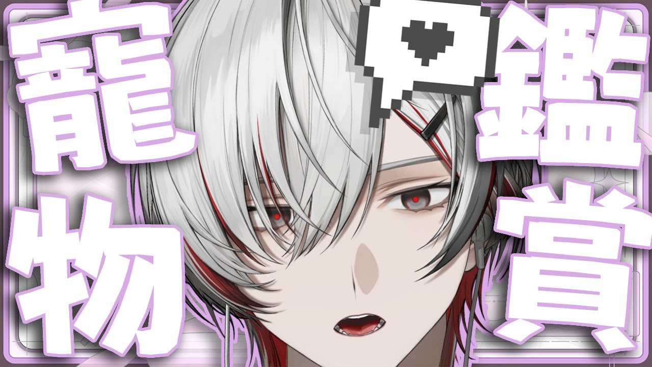 【寵物鑑賞】看粉絲們的可愛寵物時間！！！【与一 / yoichi】