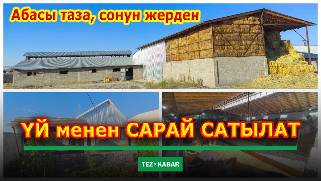 ТЕЗ АРАДА! ҮЙ менен САРАЙ САТЫЛАТ  |  Бардык ШАРТТЫ түзүп коюптур  |  Алган адам ЖЫРГАЙТГО