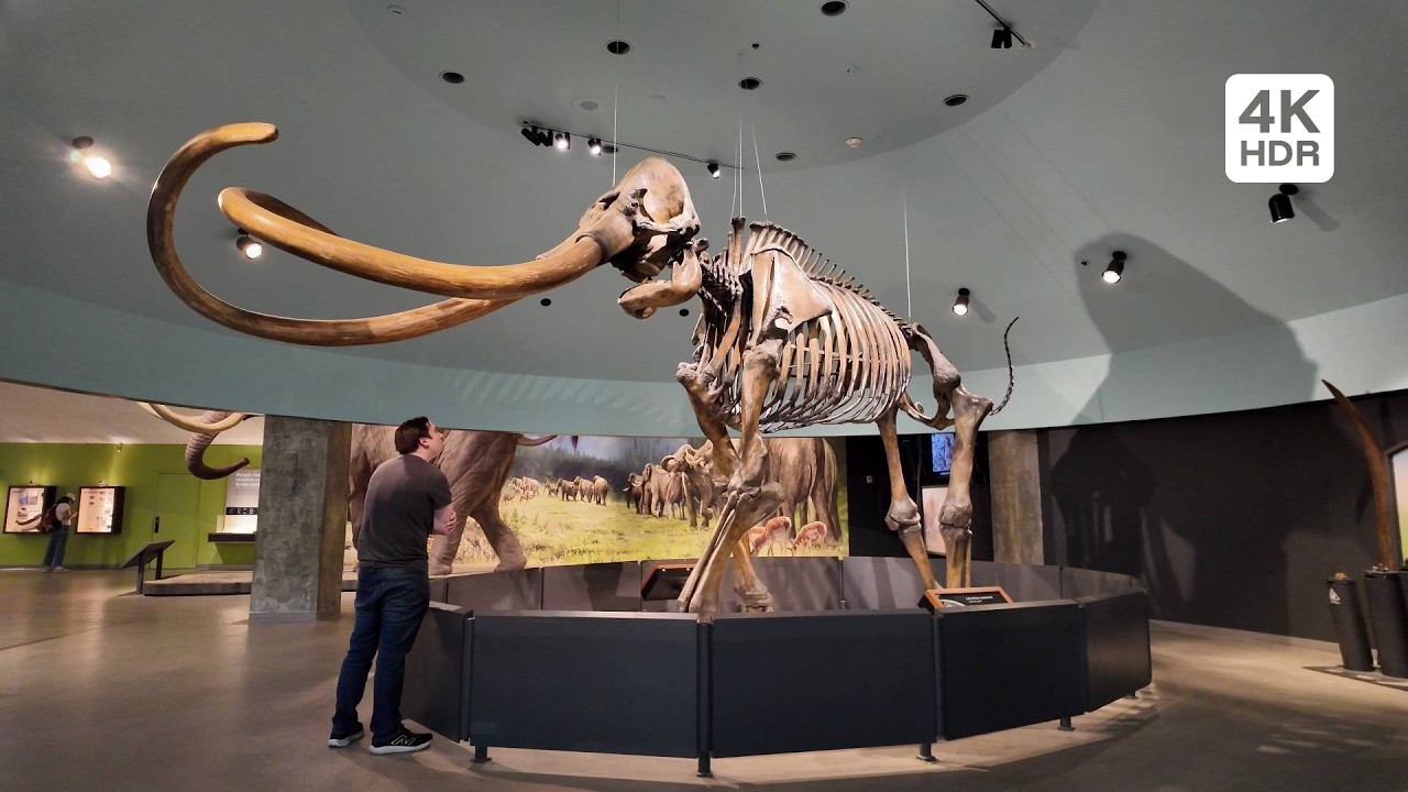 🇺🇸 La Brea Tar Pits & Museum Walking Tour · 4K HDR