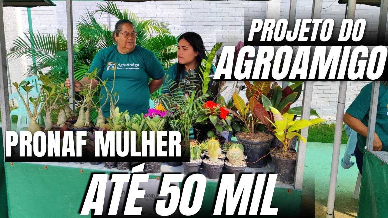 PRONAF MULHER AT&Eacute; R$ 50MIL | COMO FUNCIONA #agroamigo #creditorural #agro