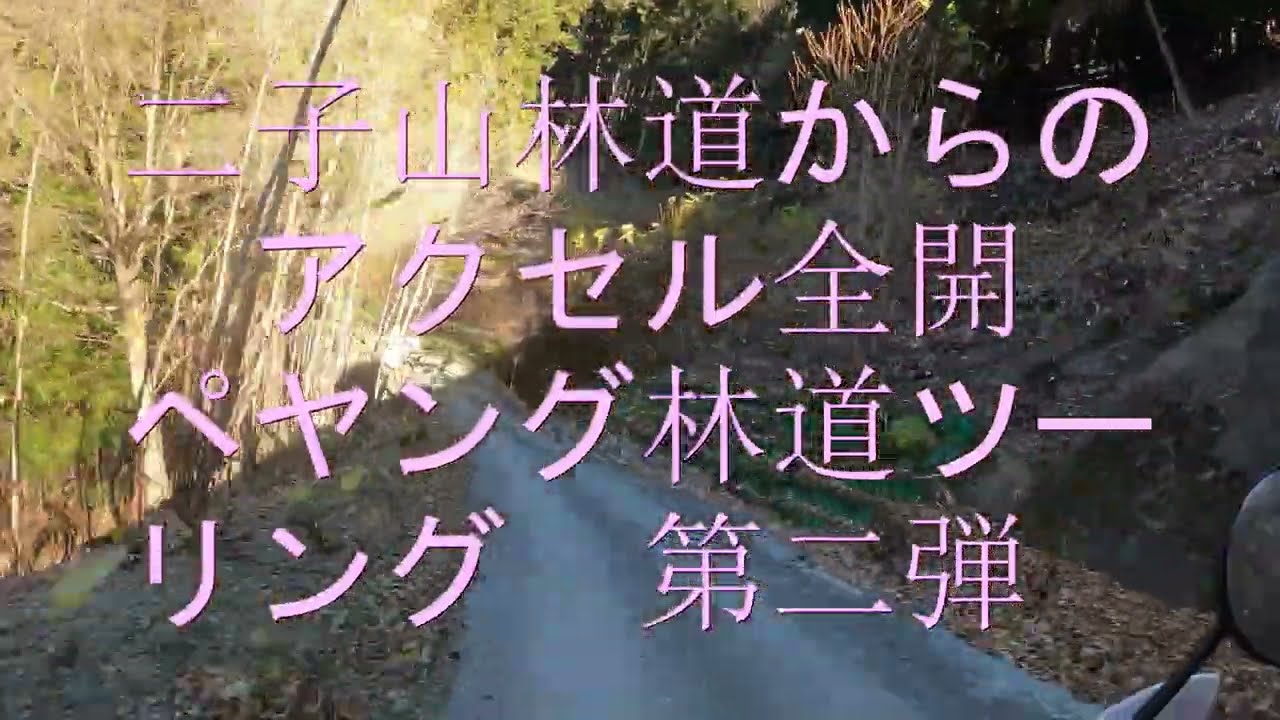 セロー250で爺がちょっとカッ飛び林道ツーリング　二子山林道後編　ジキルさんとバターさんと私の3人で行った　2025群馬～長野ツーリングです　私が思いっきり走っても　着いて行けませーんｗｗｗ