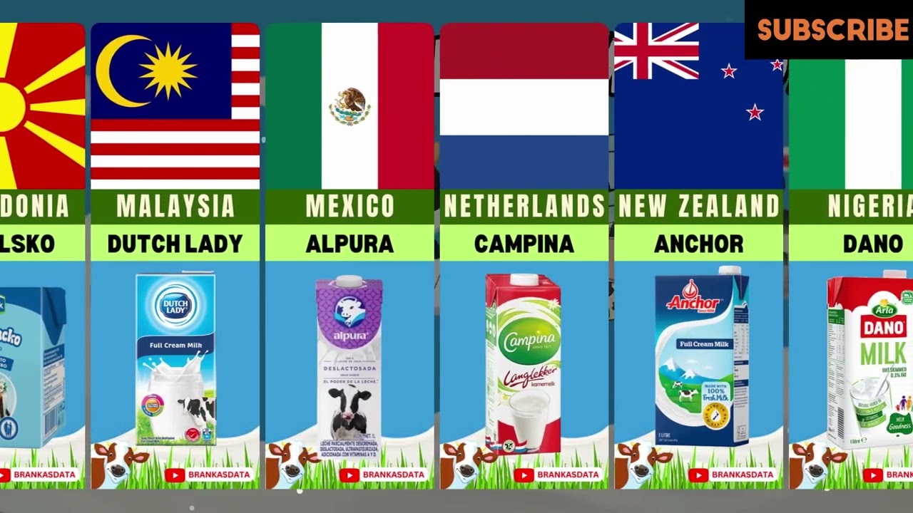 MILK BRANDS AROUND THE WORLD | WORLD MILK DAY