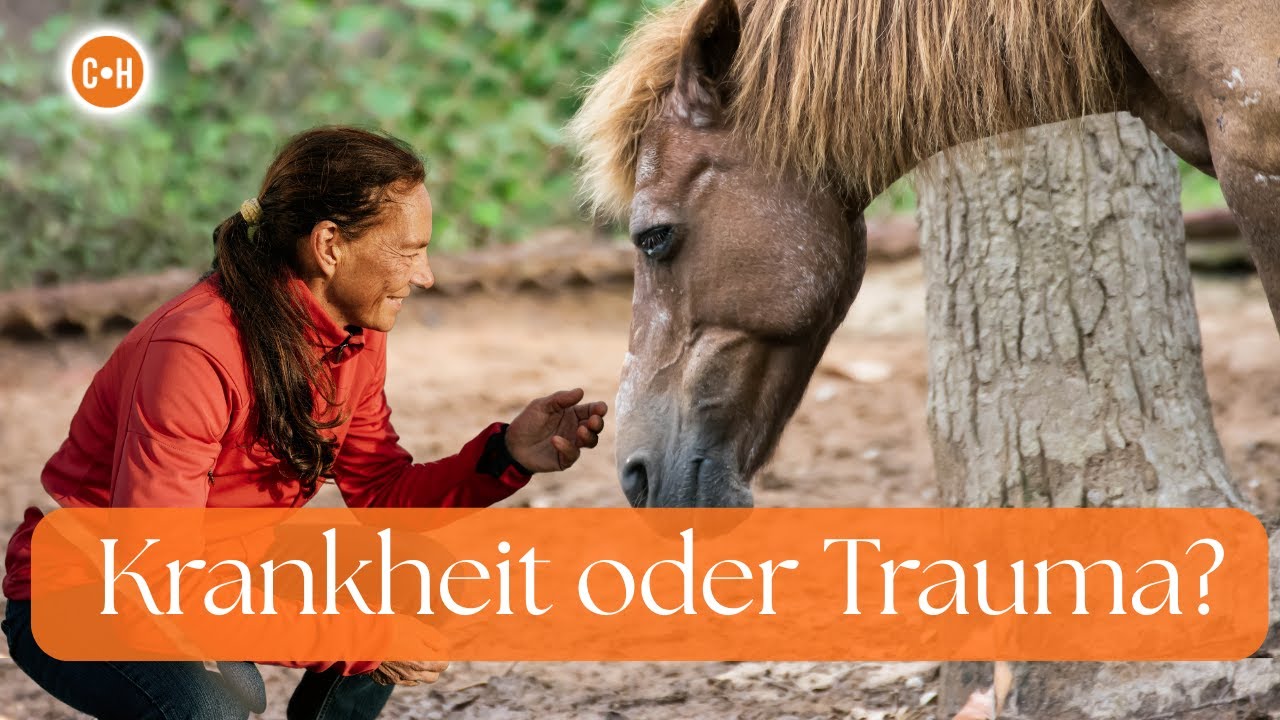 Was dein krankes Pferd dir wirklich sagen will