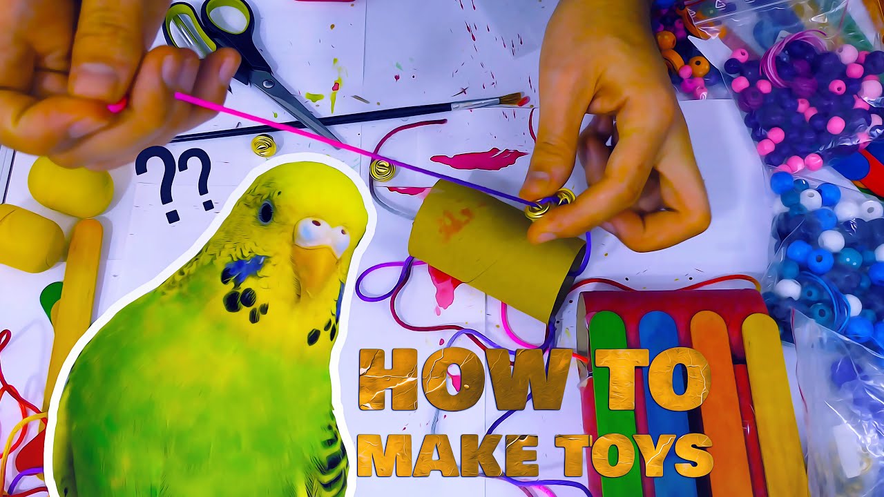 How to make Budgie Toys at Home using Paper rolls
