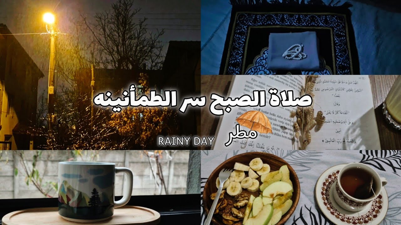 طمأنينة الفجر في يومٍ ماطر 🌧  صلاة هادئة وبداية أجمل🩷 🌱