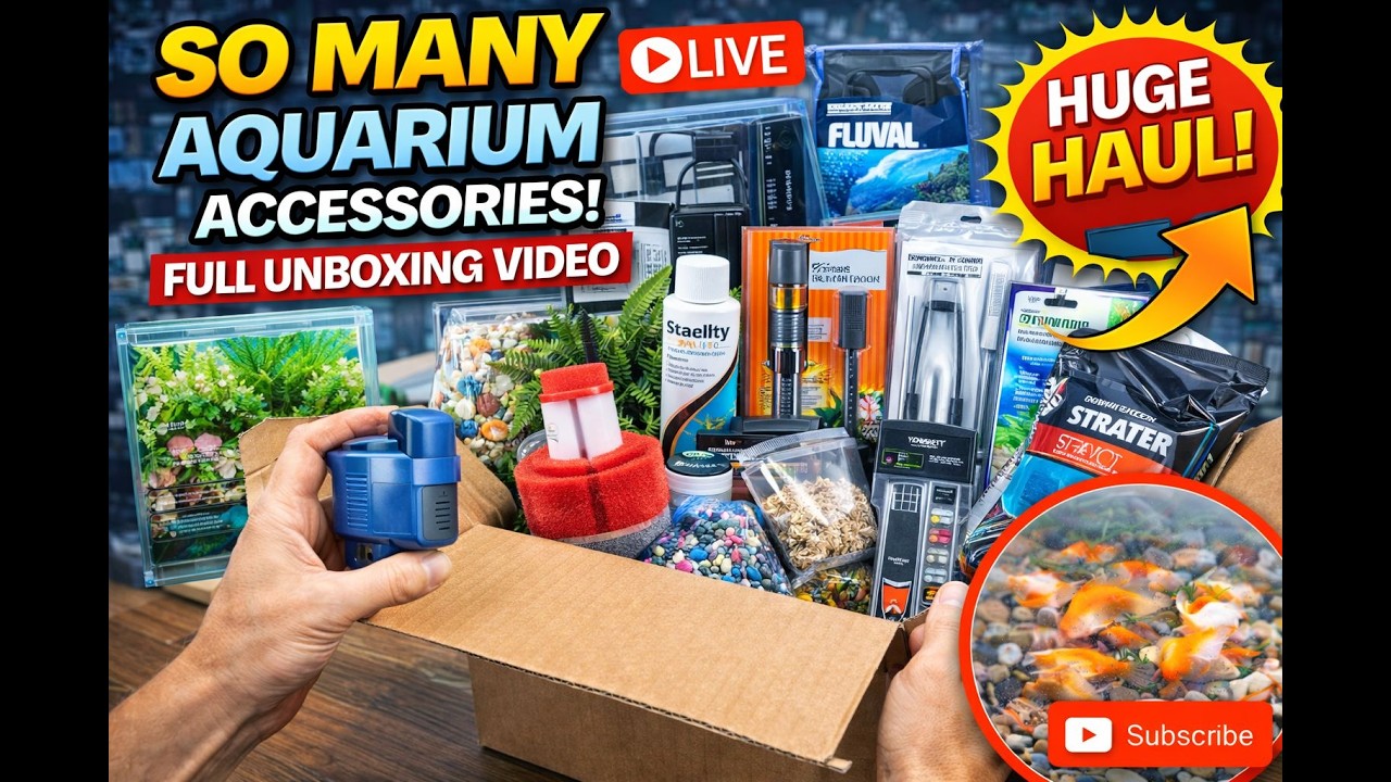 Aquarium Upgrade! Unboxing All Accessories #shorts #unboxing #aquariumaccessories #fish #fishcontent