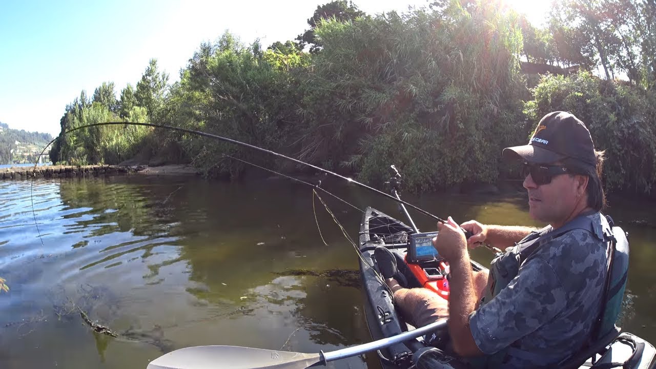 O melhor isco para a pesca do Barbo nesta época - 4K