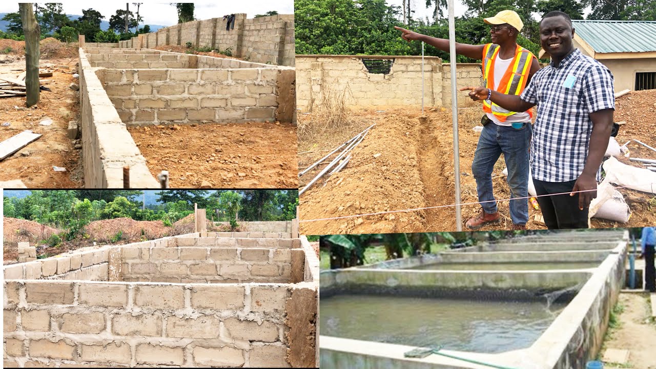 Catfish Concrete pond construction| 1000 capacity catfish pond| Technical details of a concrete pond