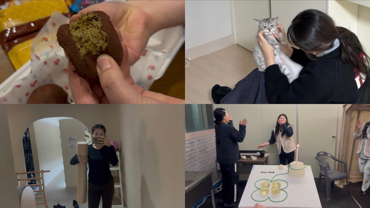 일주일 브이로그 13 (동계올림픽, 쓸없선, 미피)