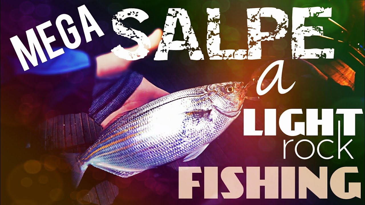 GROSSE SALPE A LIGHT ROCK FISHING IN PORTO speciale 1K : prima pescata del 2020 Power isome game