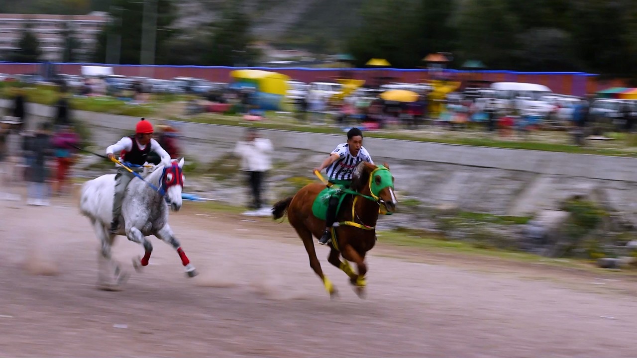 FINAL | CARRERA DE CABALLOS MEJORADOS HUANCAVELICA