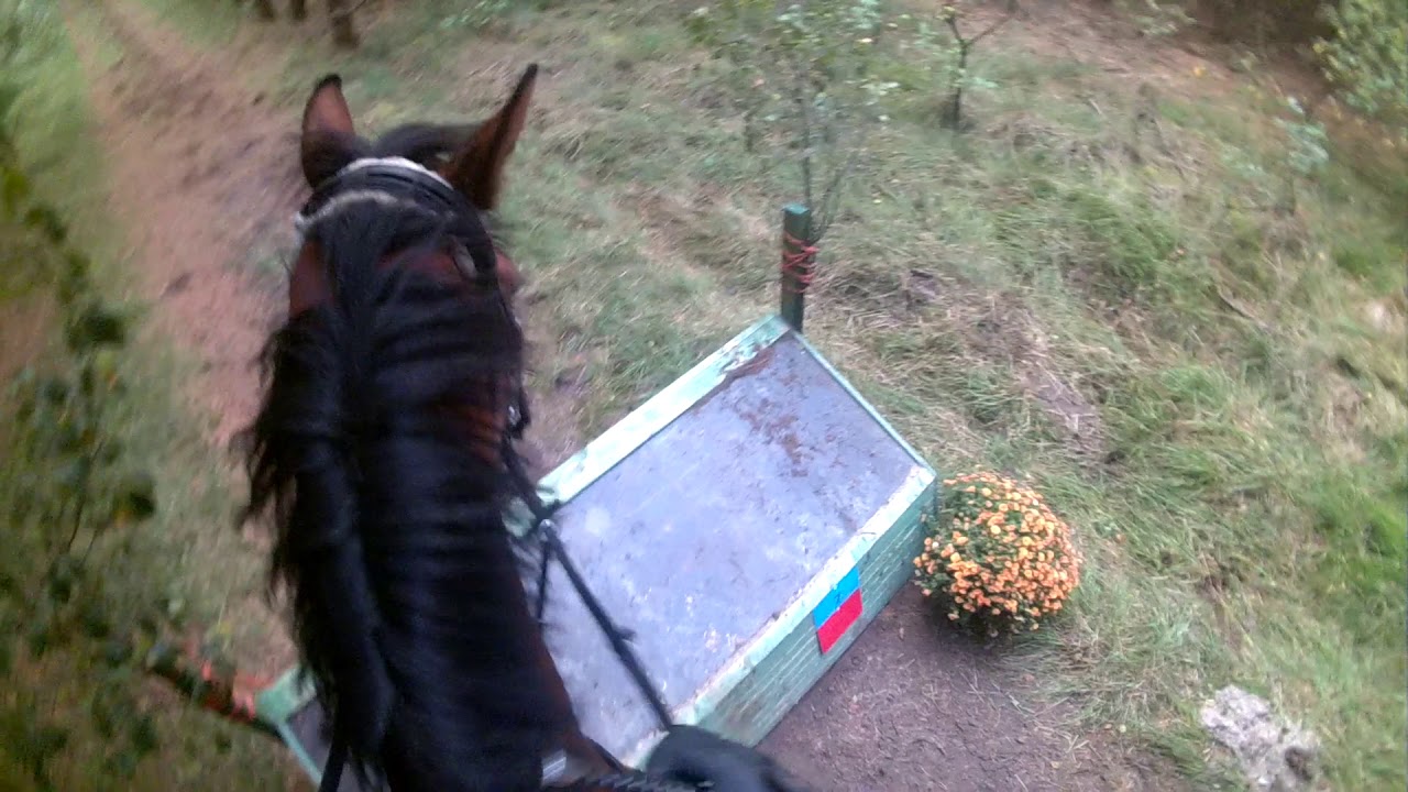 Oefencross 2017 stal Jacobs 60 cm