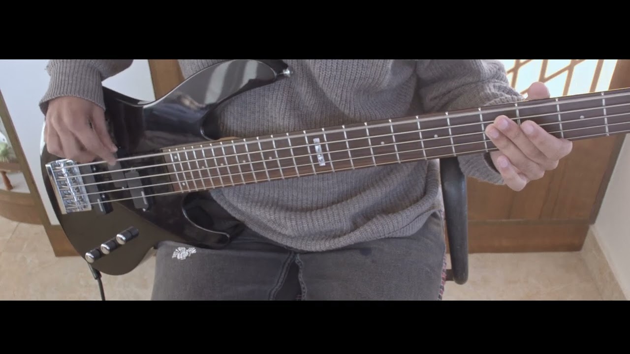 The reason - hoobastank ( Bass cover) #hoobastank 