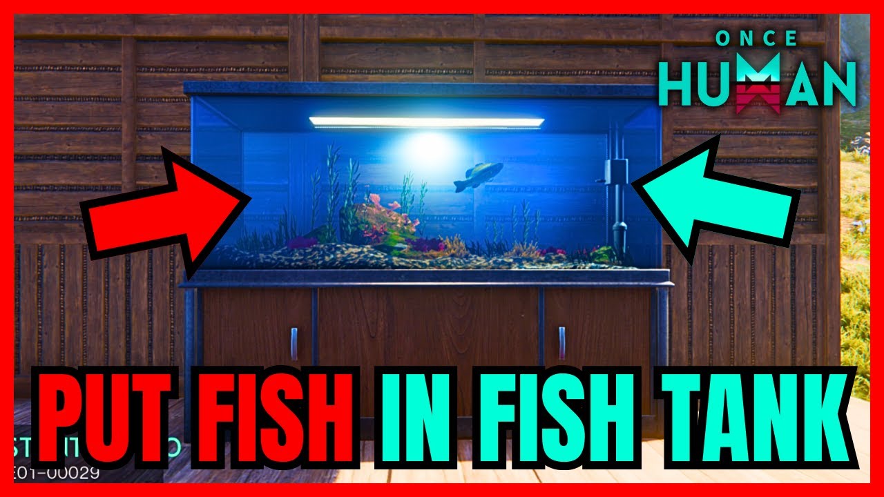Once Human How To Put Fish Inside A Fish Tank/Aquarium (FULL GUIDE)