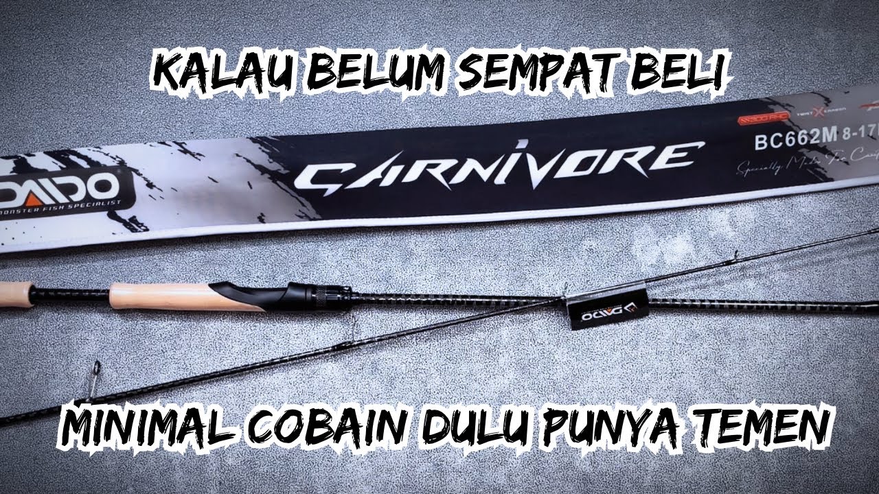 SEHARUSNYA LAKU KERAS‼️‼️ SALAH SATU YANG TERBAIK SESUAI CAMPAIGN PRODUKNYA‼️‼️ DAIDO CARNIVORE ‼️‼️
