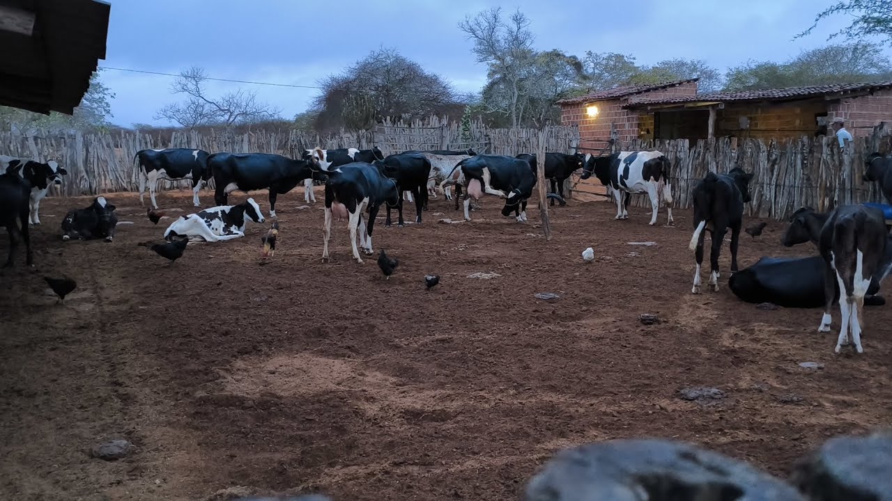 HOJE AMANHECEU BONITO PRA CHOVE AQUI NA FAZENDA NOVA NO CARIRI PARAIBANO !!!!