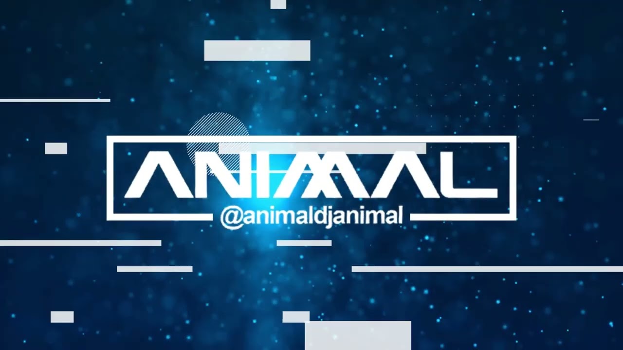 SOPETEO 4 - DJ ANIMAL