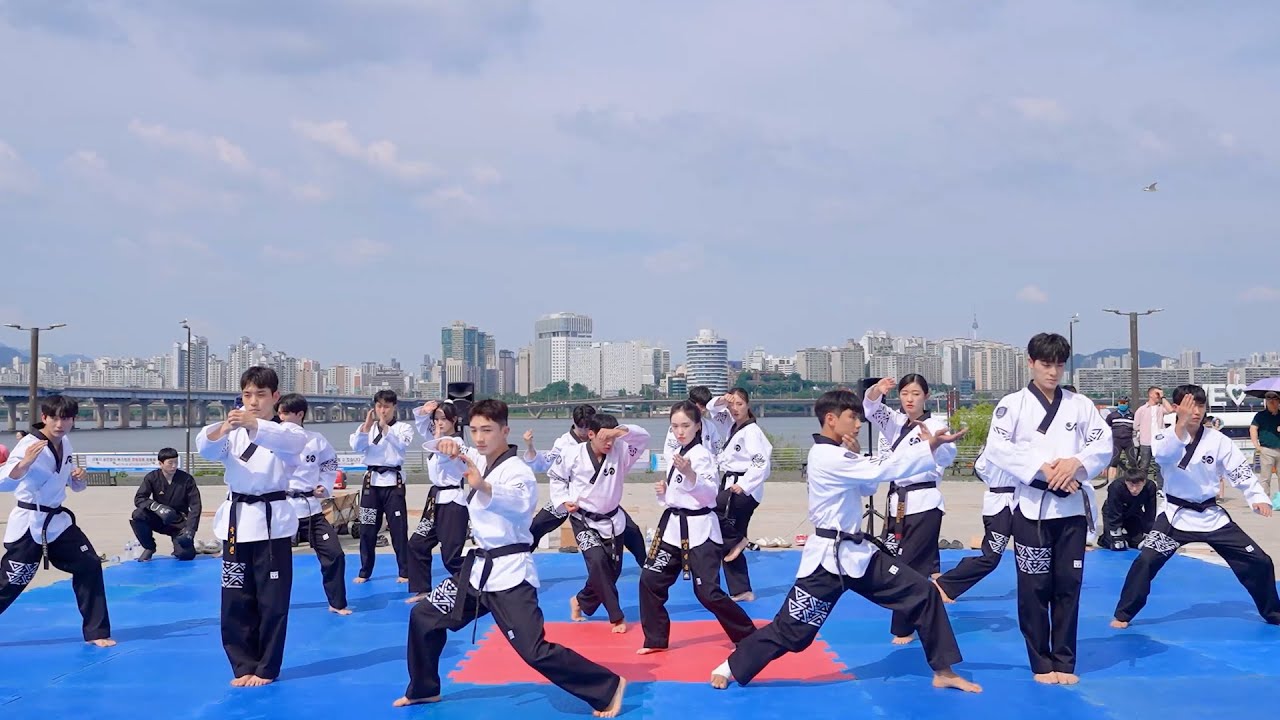 TAKE ONE WAVE (태권한류) - 태권도 (Taekwondo)