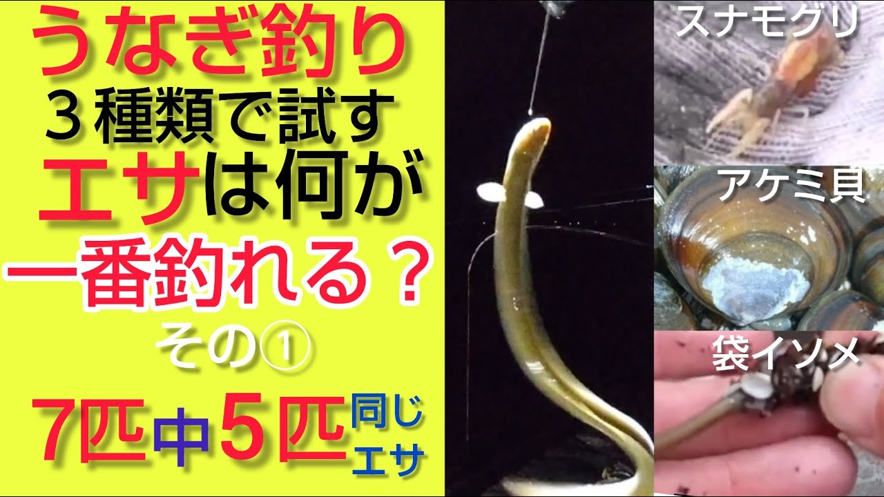 ２０２２年ウナギ釣り ３種類のエサでどれが一番釣れるか！？