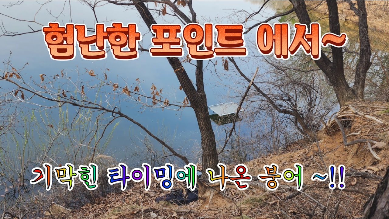 험난하고 위험한 포인트 ~!!#중앙어수라 #초계찌 #거북선대왕좌대 