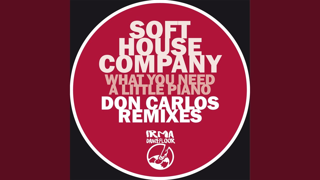 What You Need (Don Carlos Remix)