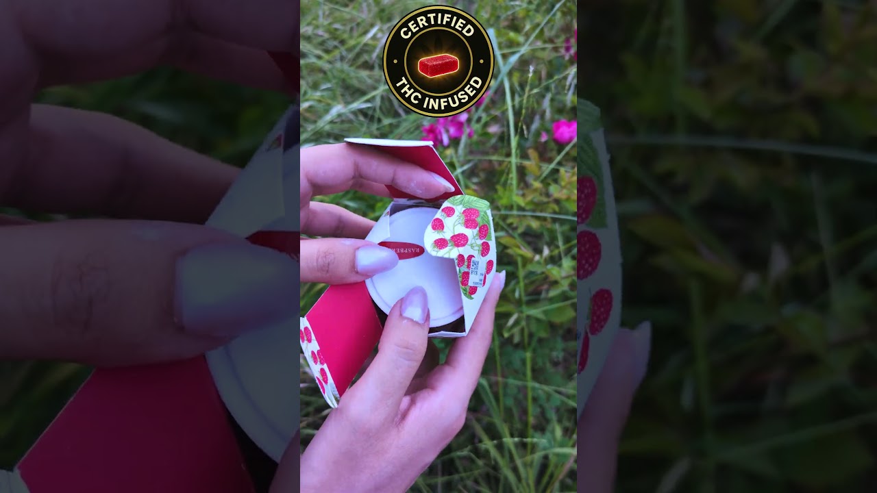 You&rsquo;ve NEVER Tasted Edibles Like This 🍓 | WYLD Raspberry Gummies at LAXCC