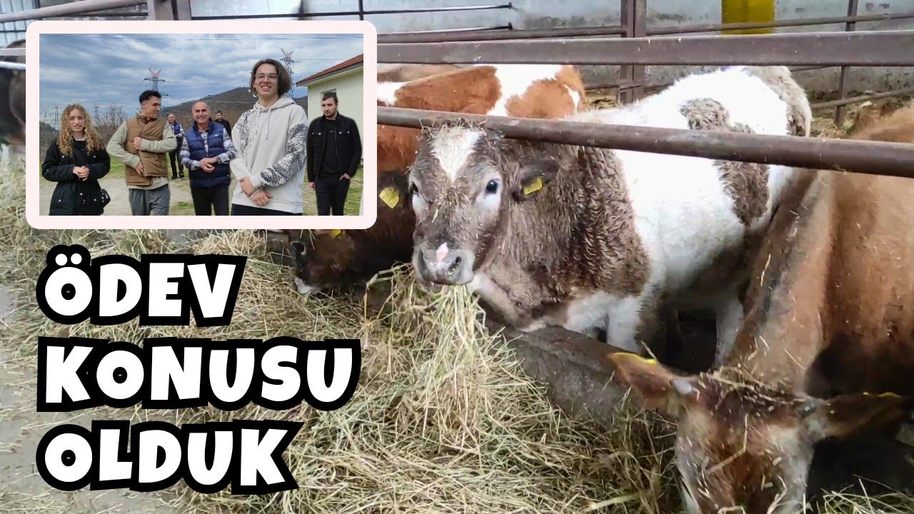 Öğrenci Arkadaşlar Ziyaretimize Geldi | Köyde Fırtına