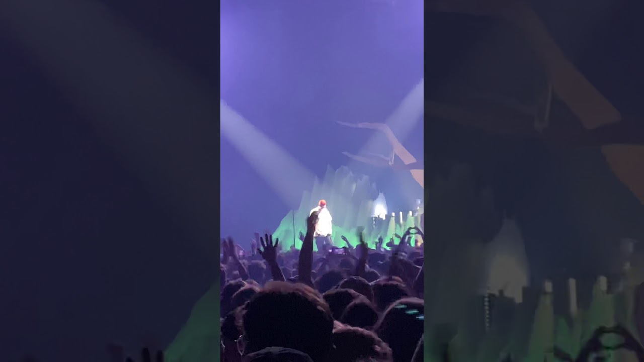 RIN Bietigheimication, Avirex Live München, NIMMERLAND TOUR