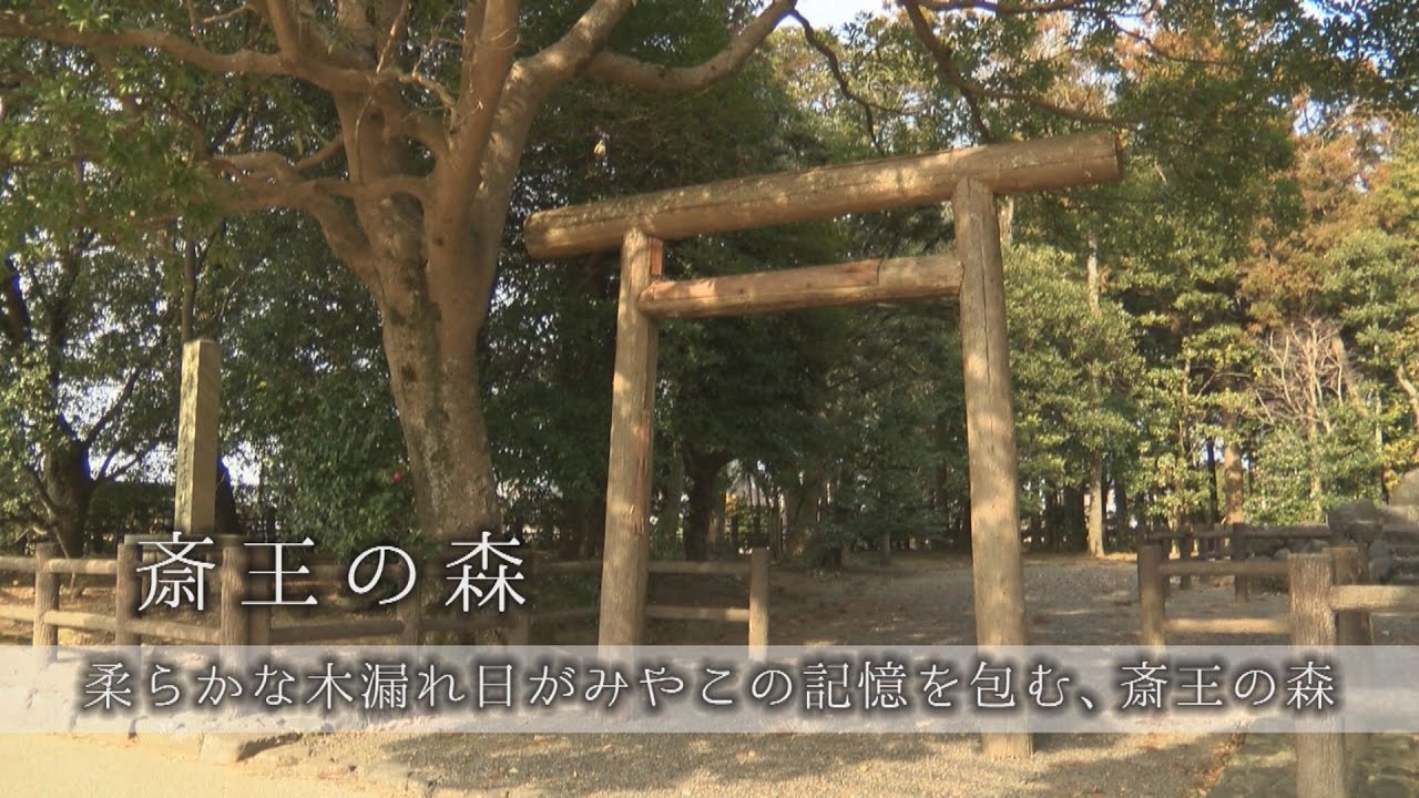 日本遺産~祈る皇女斎王のみやこ 斎宮~10斎王の森