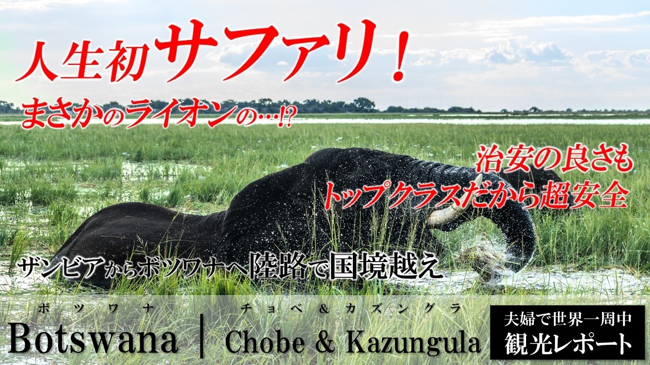 【ボツワナ🇧🇼】野生の動物が創る絶景！アフリカ大陸での念願サファリツアー！サファリ中心のVLOG動画です。