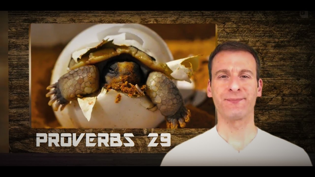 Краткое содержание 29-й главы книги Притчей и чего Бог хочет от нас