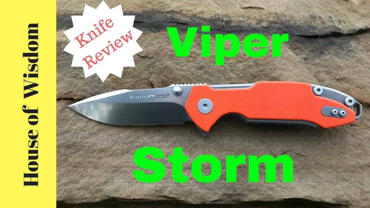 Viper Storm: Hinderer Design on Bearings!