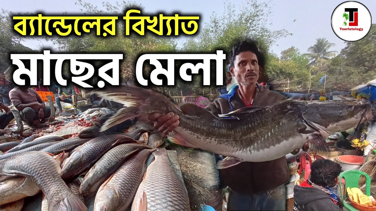 😲অবাক হলাম ব্যান্ডেলের মাছের মেলায় । Bandel Macher Mela 2023 । Adi Saptagram Fish Mela । Fish Fair
