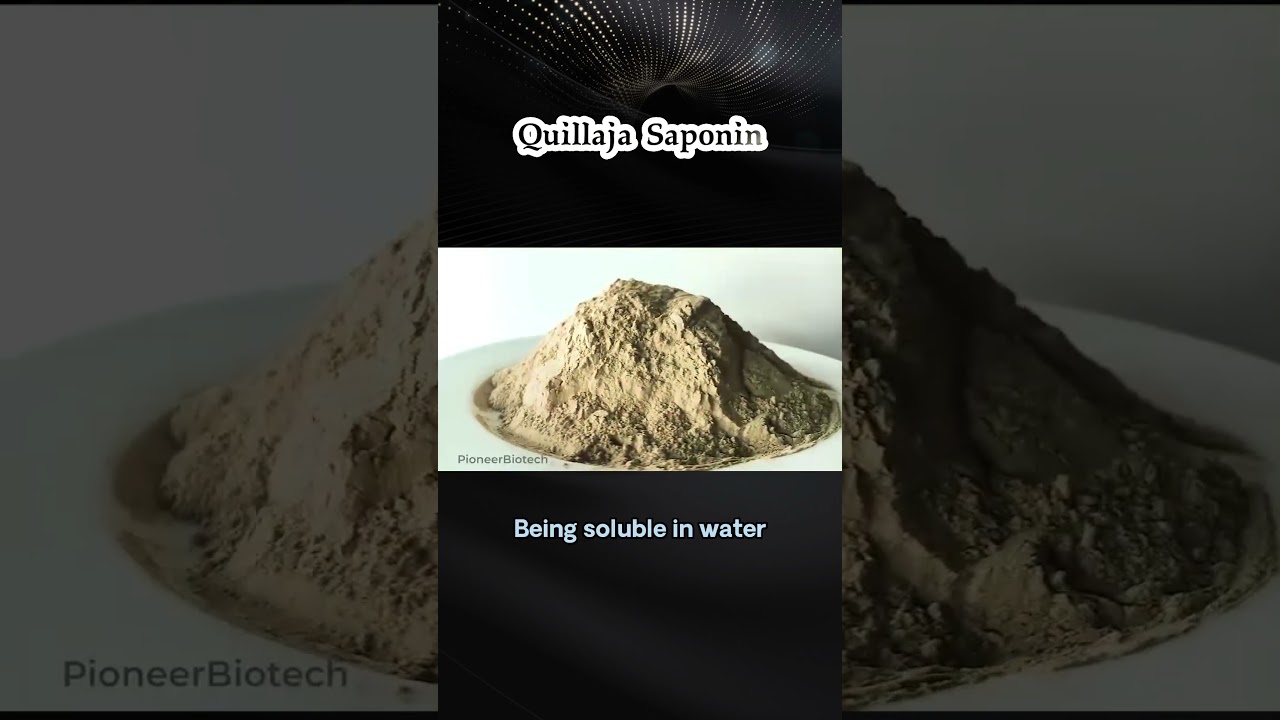 Quillaja Saponin